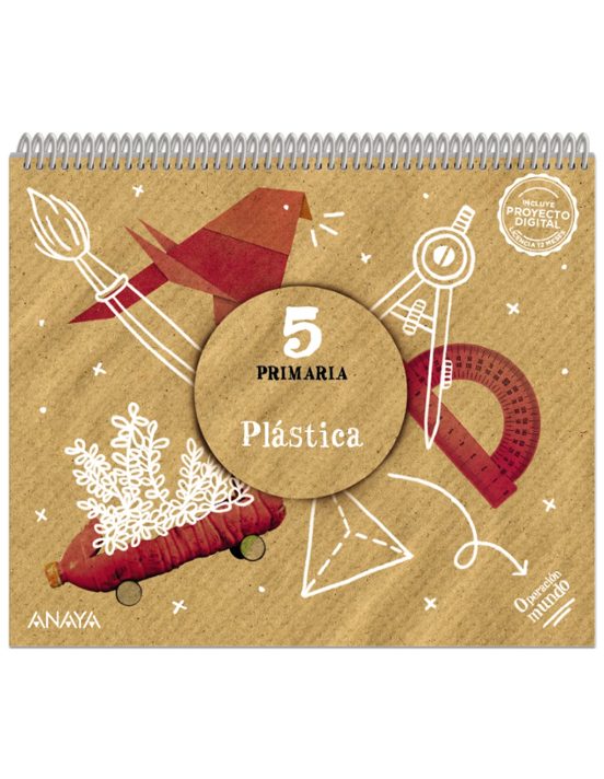 PLÁSTICA 5º